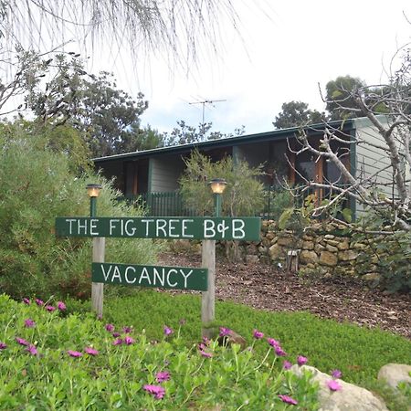 The Fig Tree B&B Baudin Beach Eksteriør bilde